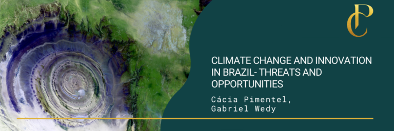 Read more about the article Climate Change and Innovation in Brazil- Threats and Opportunities