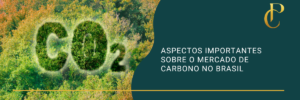 Read more about the article Aspectos importantes sobre o mercado de carbono no Brasil
