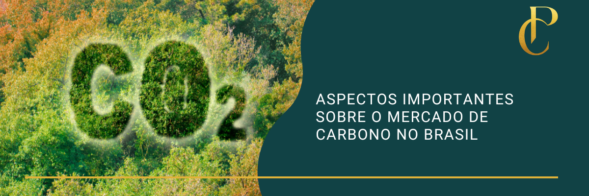 You are currently viewing Aspectos importantes sobre o mercado de carbono no Brasil