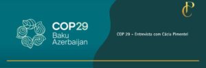Read more about the article COP 29 – Desenvolvimento de Soluções Climáticas no Brasil